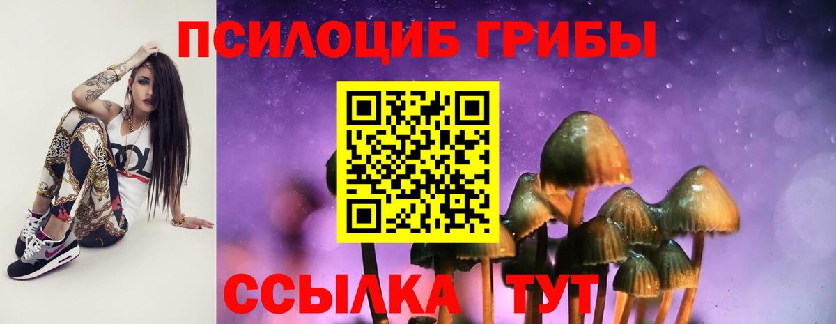 Когалым  Галлюциногенные грибы GOLDEN TEACHER  Галлюциногенные грибы Psilocybine cubensis  Вход с VPN 